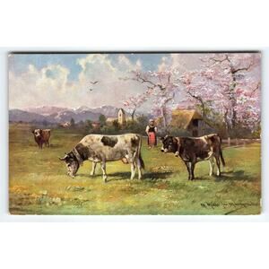 Signed Muller Artist Card Spring Pastoral Scene with Cows & Blossoms